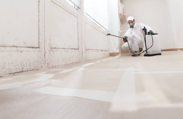 24/7 Emergency Bathroom Mold Removal experts in Red Bank, TN