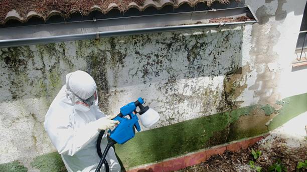 Top rated local Bathroom Mold Removal specialists in Red Bank, TN